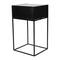 Hello Honey® 22" Black Cane & Mango Wood End Table